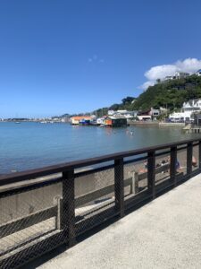 IMG_1168